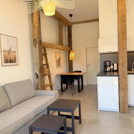 Timmenhus - Neue Im Historischen Apartman